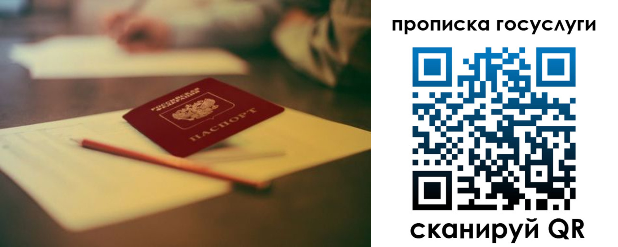 прописка для школы в Катайске